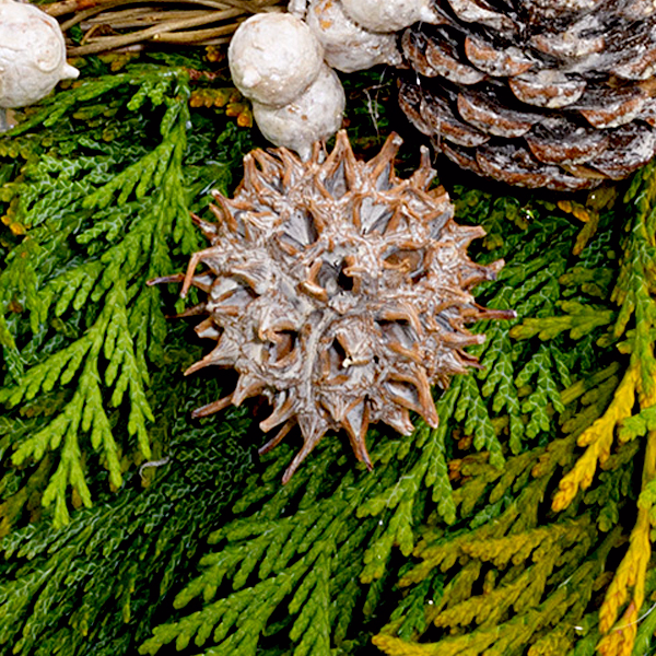 Trauerkranz Nie vergessen