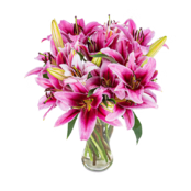 Lilienstrauß in Pink