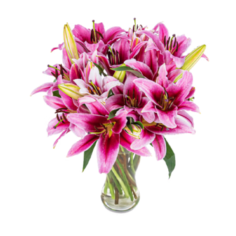 Pink Lily Bouquet