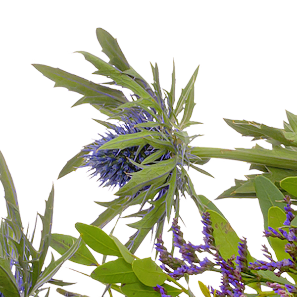 Sympathy Bouquet Verbundenheit