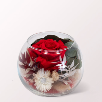 Rote haltbare Rose im Glas