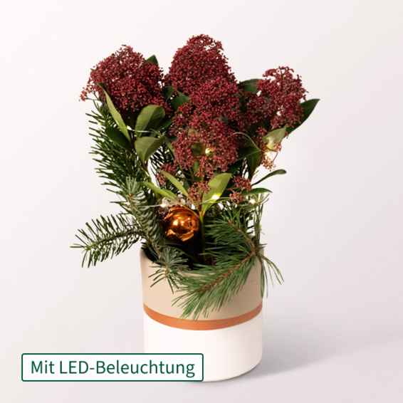 Rote Weihnachts-Skimmie mit Lichterkette