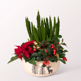 Arrangement Winter Magic