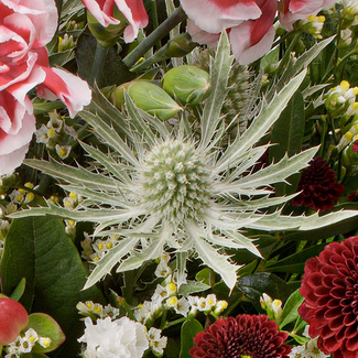 Blumenstrauß Winterlichtung mit Vase & Ferrero Giotto 3er