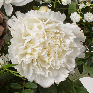 Flower Bouquet Sternennacht with vase & 3 Ferrero Giotto