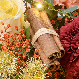 Premiumstrauß Weihnachtszauber mit Premiumvase & Ferrero Giotto 3er