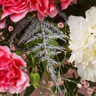 Premium Bouquet Oh du fröhliche with Premium Vase & 3 Ferrero Giotto