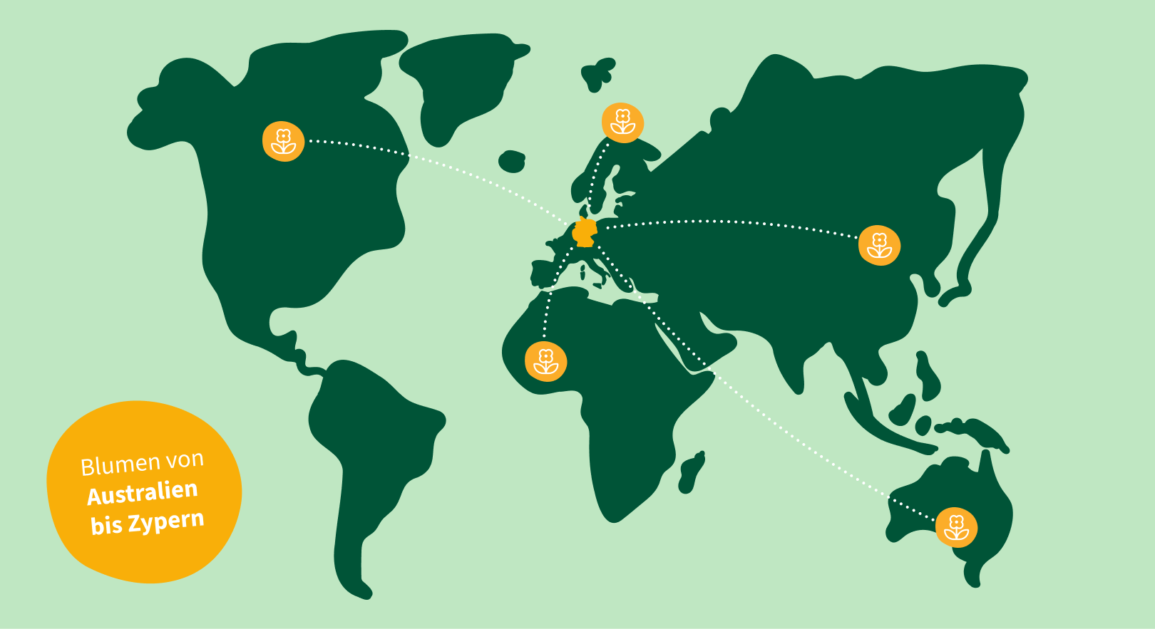 Blumen von Australien bis Zypern