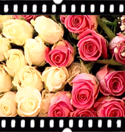 1. Best Quality Flowers