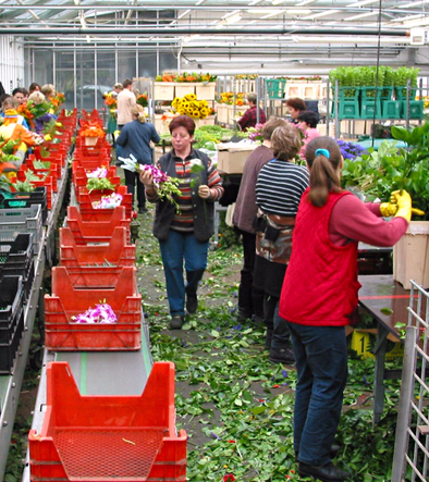 production where your