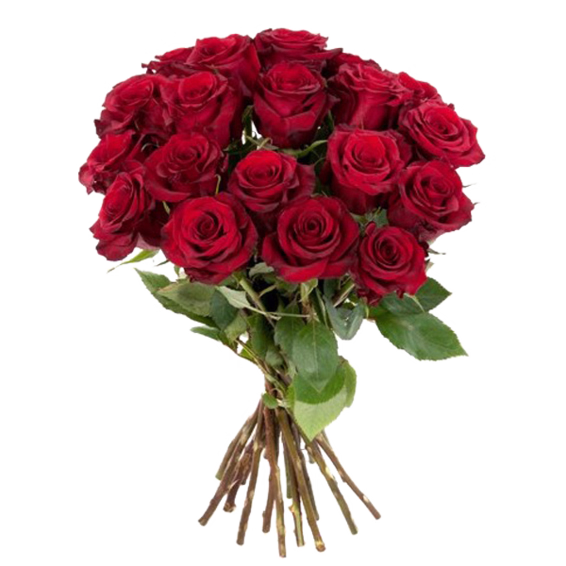 Red Roses in a bunch