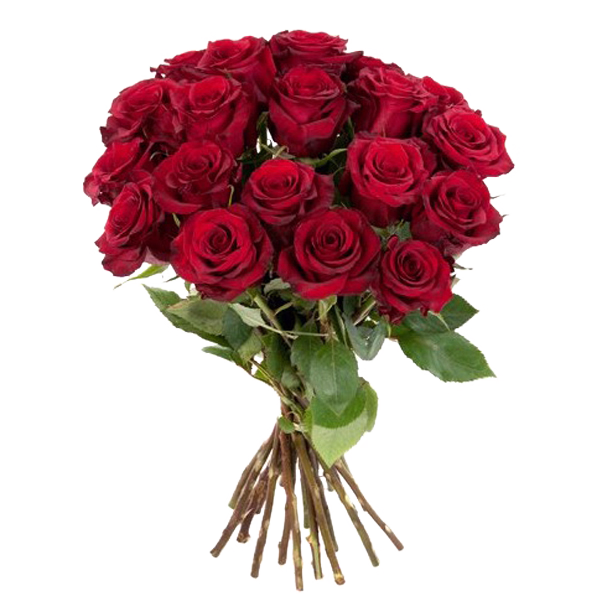 Red Roses in a bunch