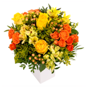 Blumenstrauß Pure Freude