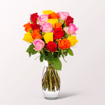 Mixed Fairtrade roses in a bunch