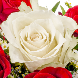 Rosenstrauß Romeo mit Vase & Ferrero Giotto 3er