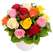 Bouquet of mixed coloured roses