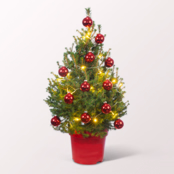 Weihnachtsbaum Little Santa mit Lichterkette & mit Ferrero Giotto 3er