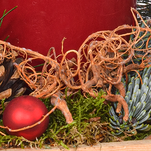 Rotes Gesteck im Holzkasten mit Ferrero Giotto 3er