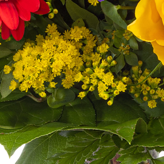 Sternzeichen-Blumenstrauß Schütze mit Vase & Blumenstecker