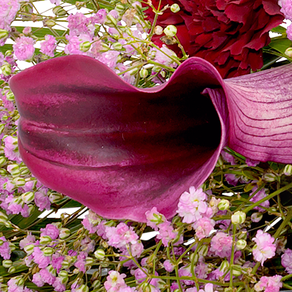 Sympathy Bouquet In Liebe