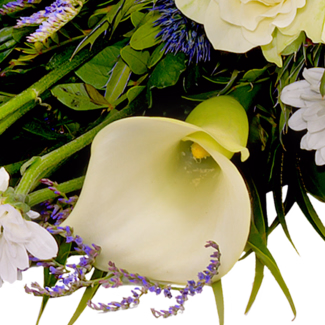 Liegestrauß Verbundenheit