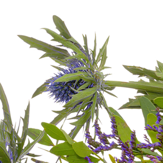 Liegestrauß Verbundenheit