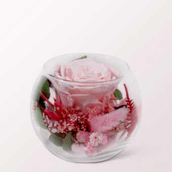Pink Long-lasting Rose in a Glass