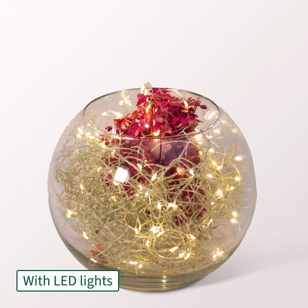 Light Dream in a Glass