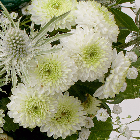 Blumenstrauß Sternstunde mit Vase & Ferrero Giotto 3er