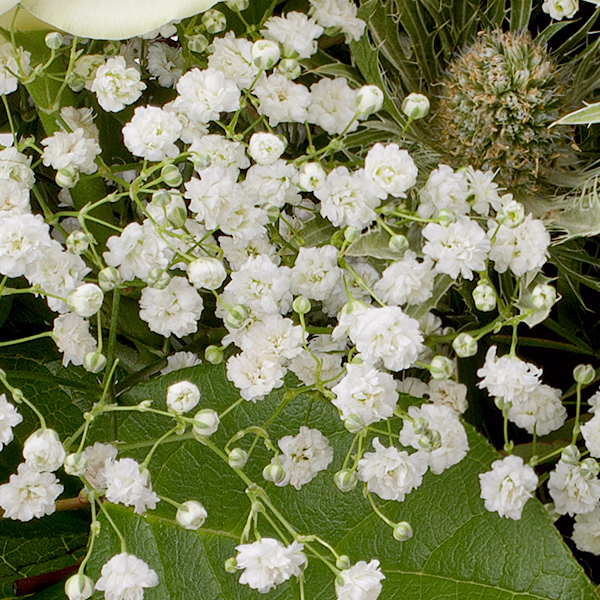 Blumenstrauß Sternstunde mit Vase & Ferrero Giotto 3er