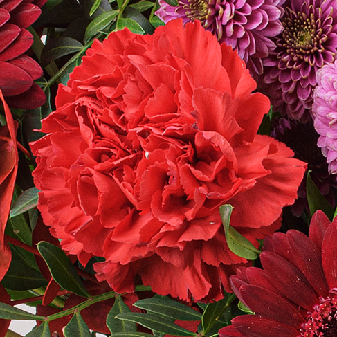 Premiumstrauß Winterblüte mit Premiumvase & Ferrero Giotto 3er