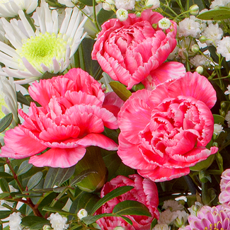 Blumenmix Wintergefühl mit Ferrero Giotto 3er