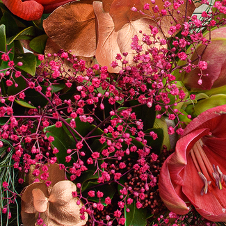 Flower Mix Winterballade with 3 Ferrero Giotto