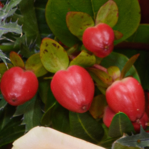 Liegestrauß Abschiedsgruß