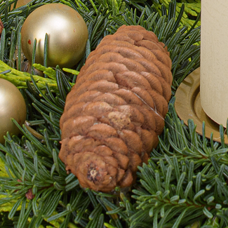 Adventskranz Kerzenschein (Ø 30 cm) mit Ferrero Giotto 3er