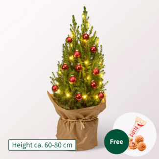 X-Mas Tree Merry Christmas with X-Mas lights & with 3 Ferrero Giotto